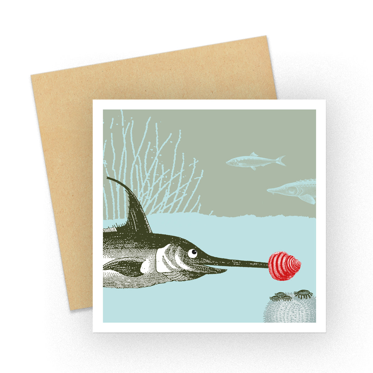 Dressed up for Christmas Swordfish