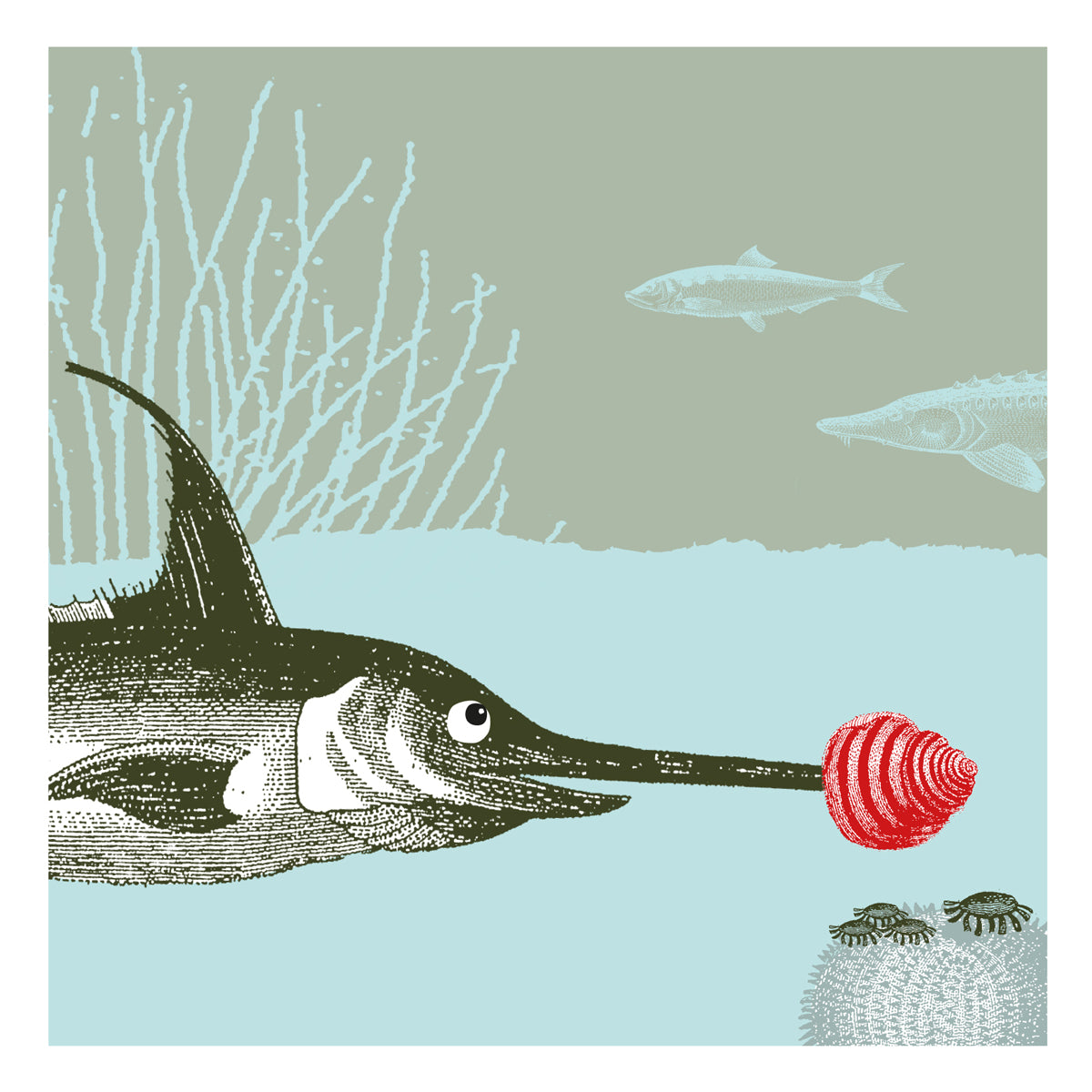 Dressed up for Christmas Swordfish