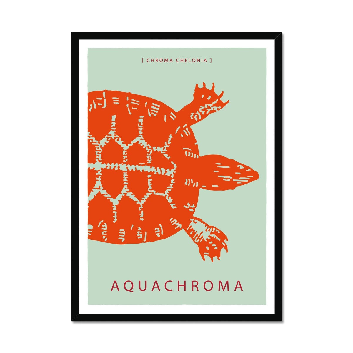 Vibrant garibaldi orange turtle on a sea foam green background with white border in a black wooden frame.