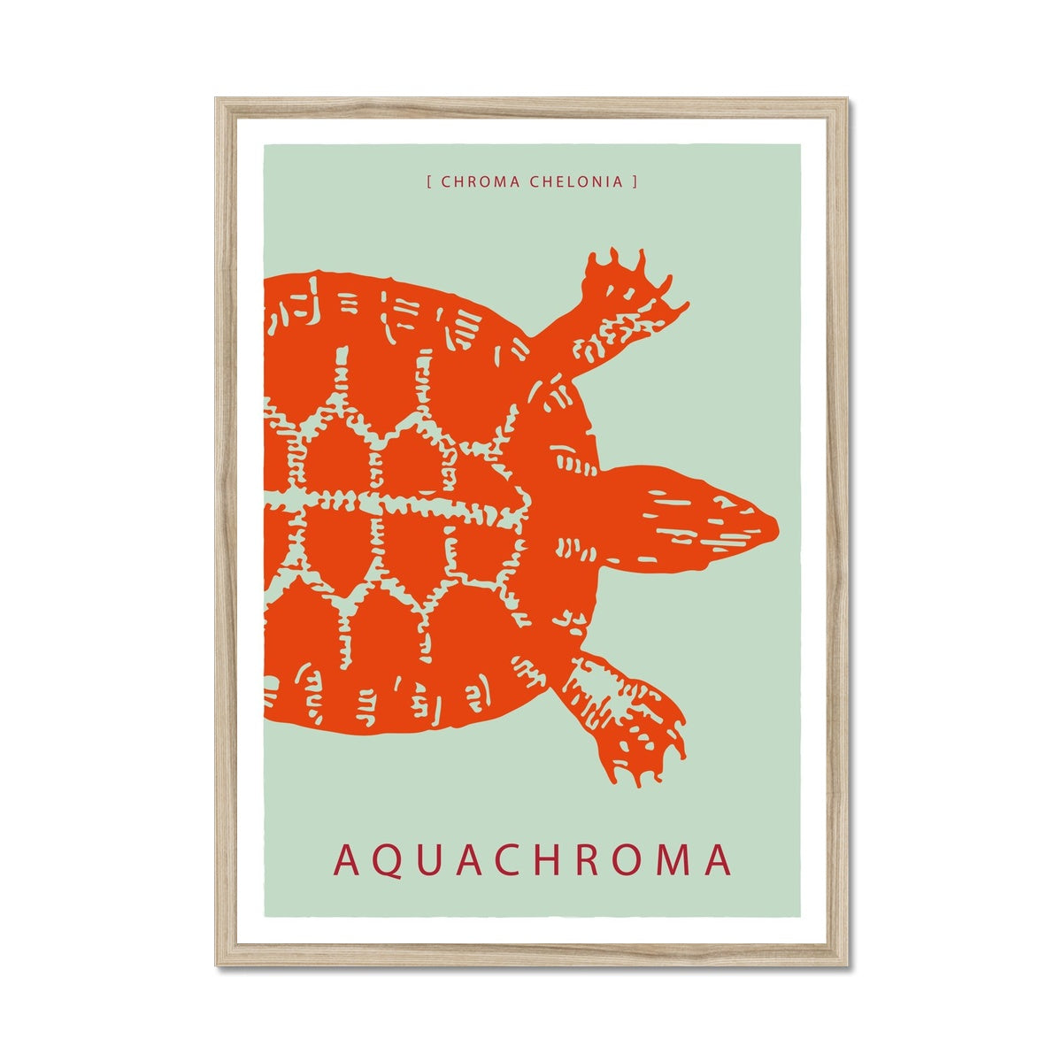 Vibrant garibaldi orange turtle on a sea foam green background with white border in a natural wooden frame.