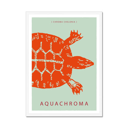 Vibrant garibaldi orange turtle on a sea foam green background with white border in a white wooden frame.