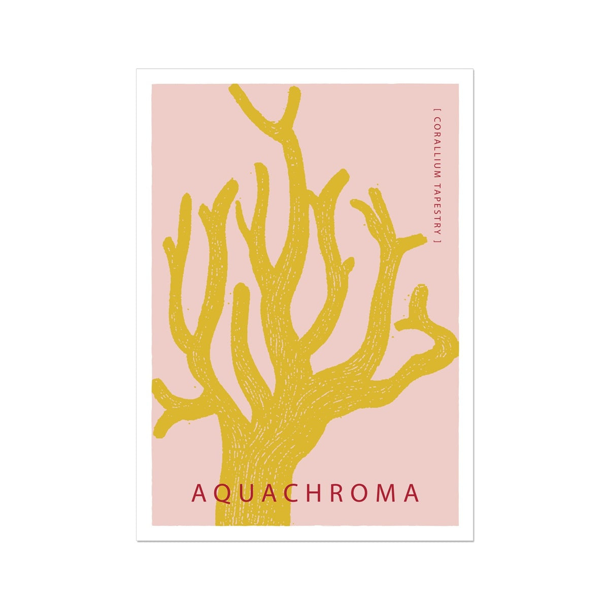 Vibrant yellow coral on a light red background with white border.