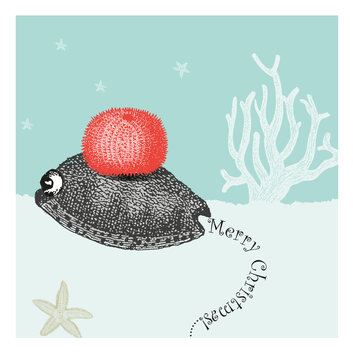 Dressed up for Christmas Snail