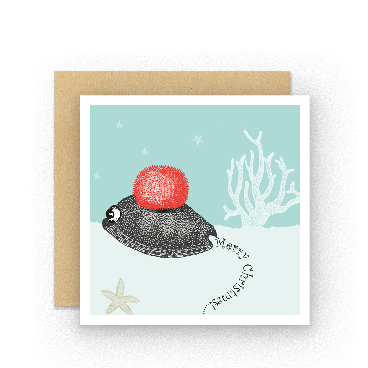 Dressed up for Christmas Snail