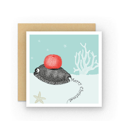 Dressed up for Christmas Snail
