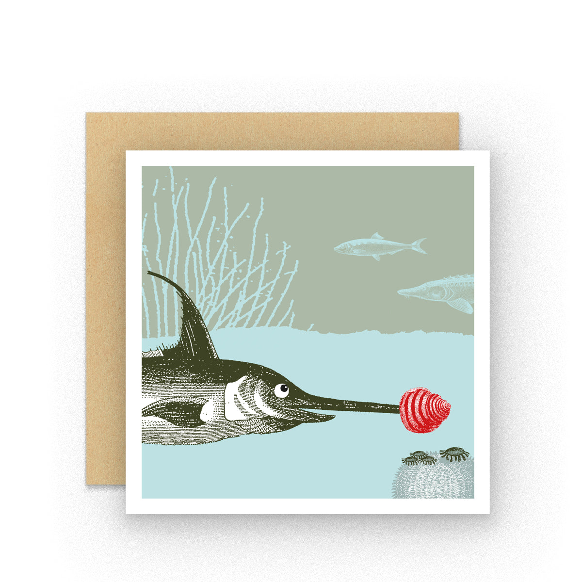 Dressed up for Christmas Swordfish